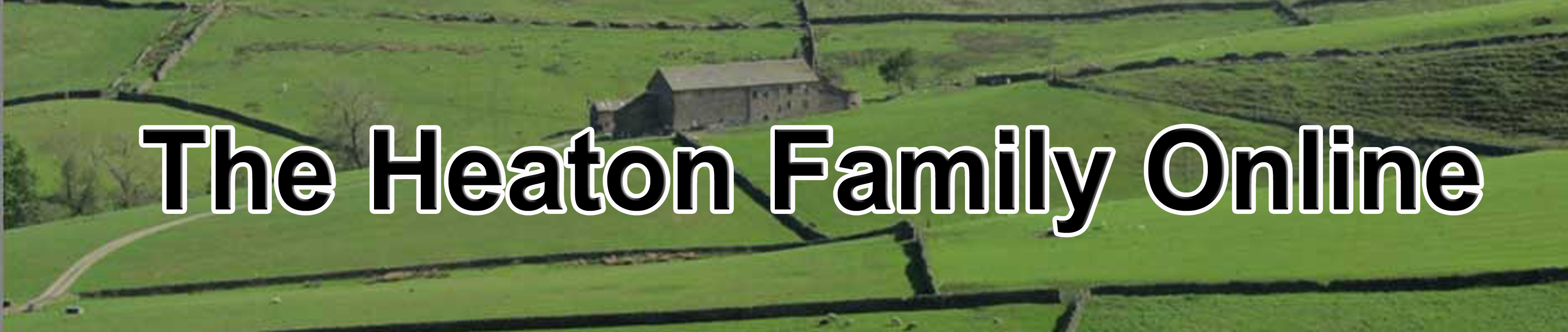 never had a better background